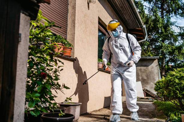 Best Pest Control Near Me in Silver Lake, OH