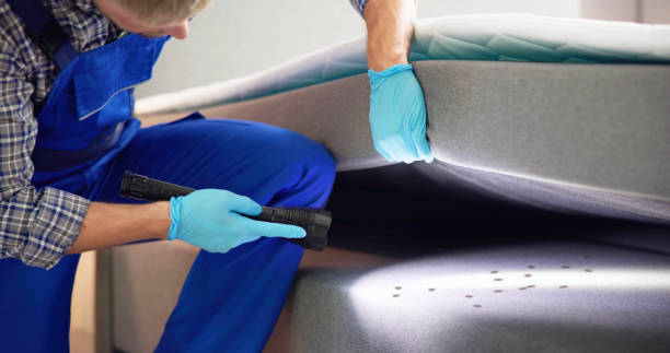 Best Exterminator Services  in Silver Lake, OH