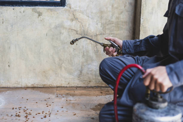 Best Exterminator Services  in Silver Lake, OH