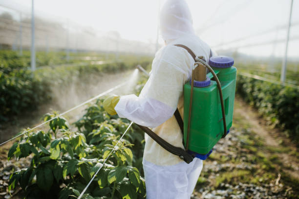 Best Pest Removal Services  in Silver Lake, OH